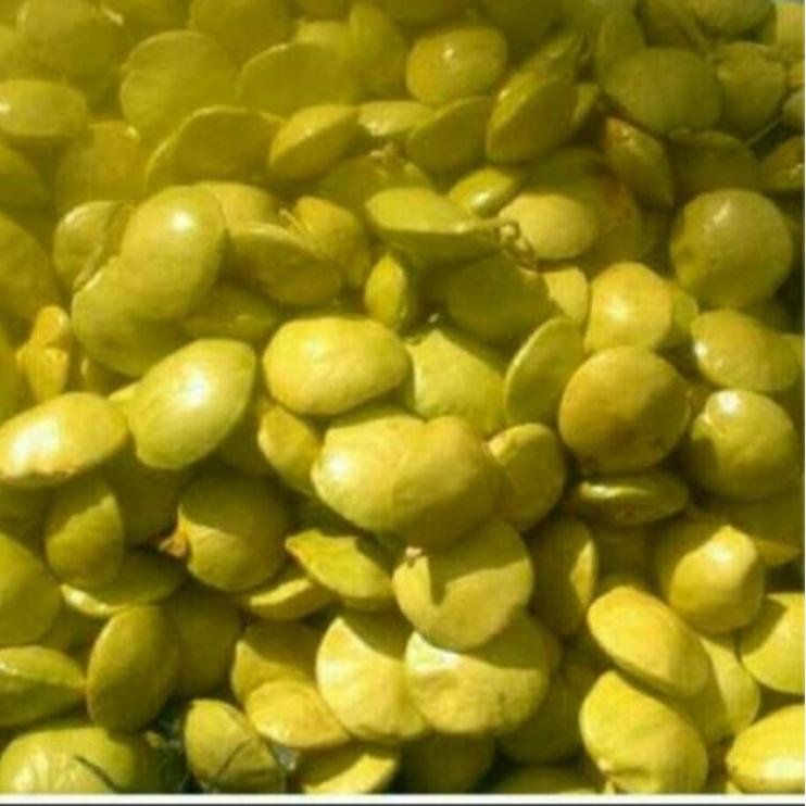 

LANGSUNG ORDER X8033 jengkol muda lalap 1kg ㊊