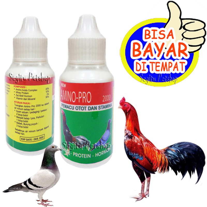 Vitamin Ayam Penggemuk Tambah Stamina Amino Pro 2000