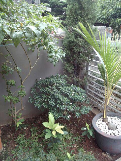 Sticker Tegel Stiker Lantai Keramik Lantai Dapur Tf 007 008 009 010 011 012 Dinding Kamar Mandi