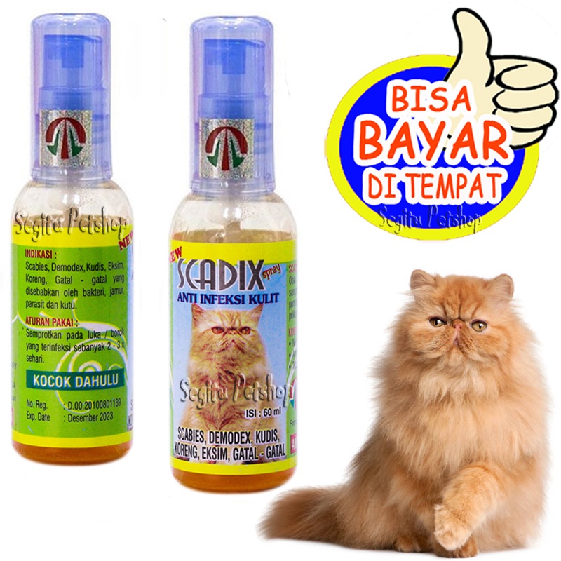 Obat Jamur Scabies Kucing Scadix