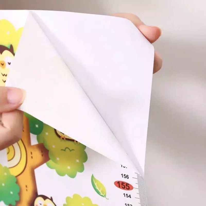 Import Sticker Height Stiker Dinding Pengukur Tinggi Badan Anak Alat Ukur Tinggi Wall sticker Height Kids