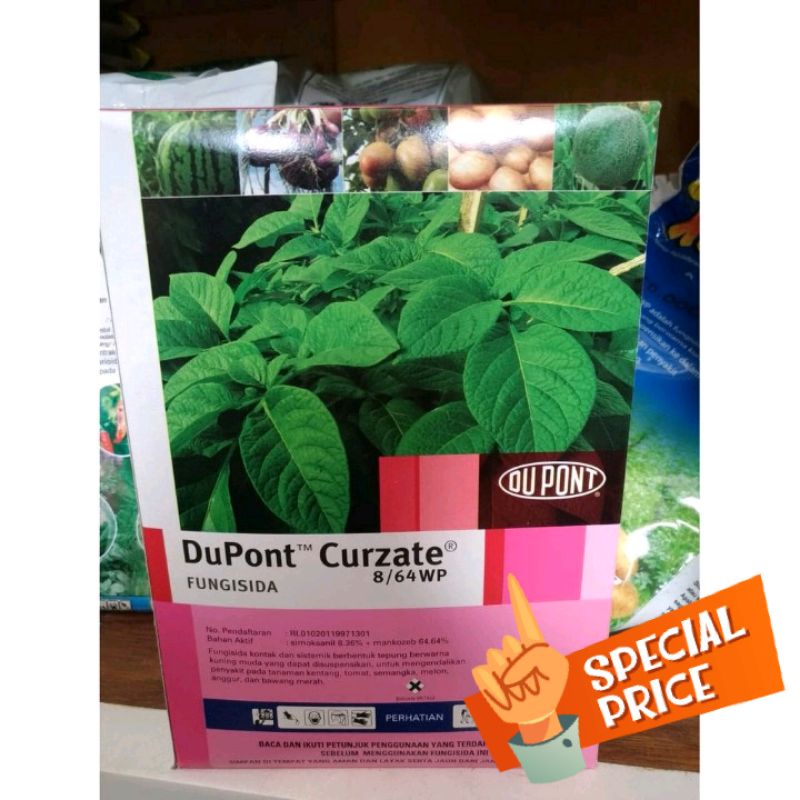 Dupont curzate 400gram