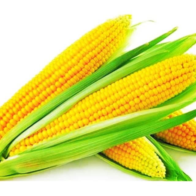 

Jagung diet super