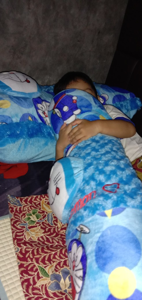 Bantal Guling / Bantal Cinta Karakter