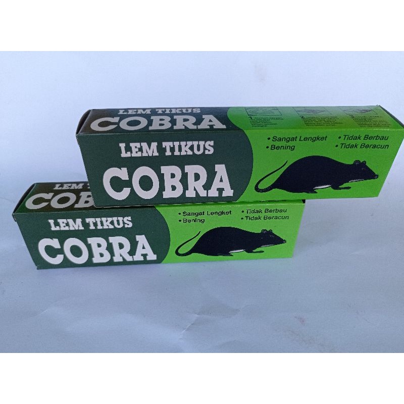 Lem Tikus Cobra Asli Original Ampuh Lengket Murah Grosir