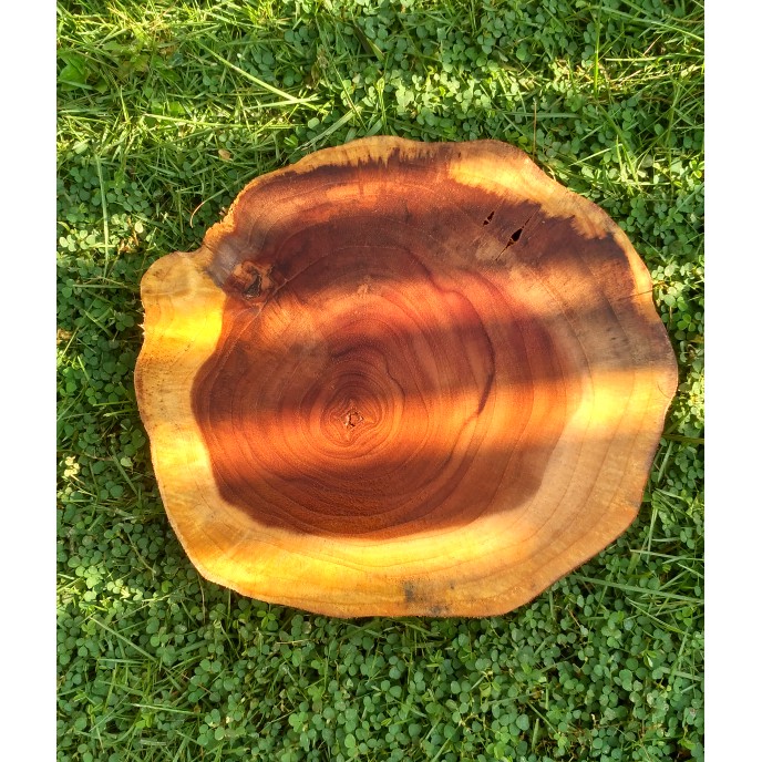 Teak wood slice log kayu jati 22-23 cm rustic vintage hiasan dinding