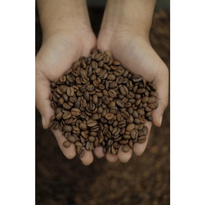 

Beans Espresso Dua Coffee Bali Kintamani Biji Kopi Bali