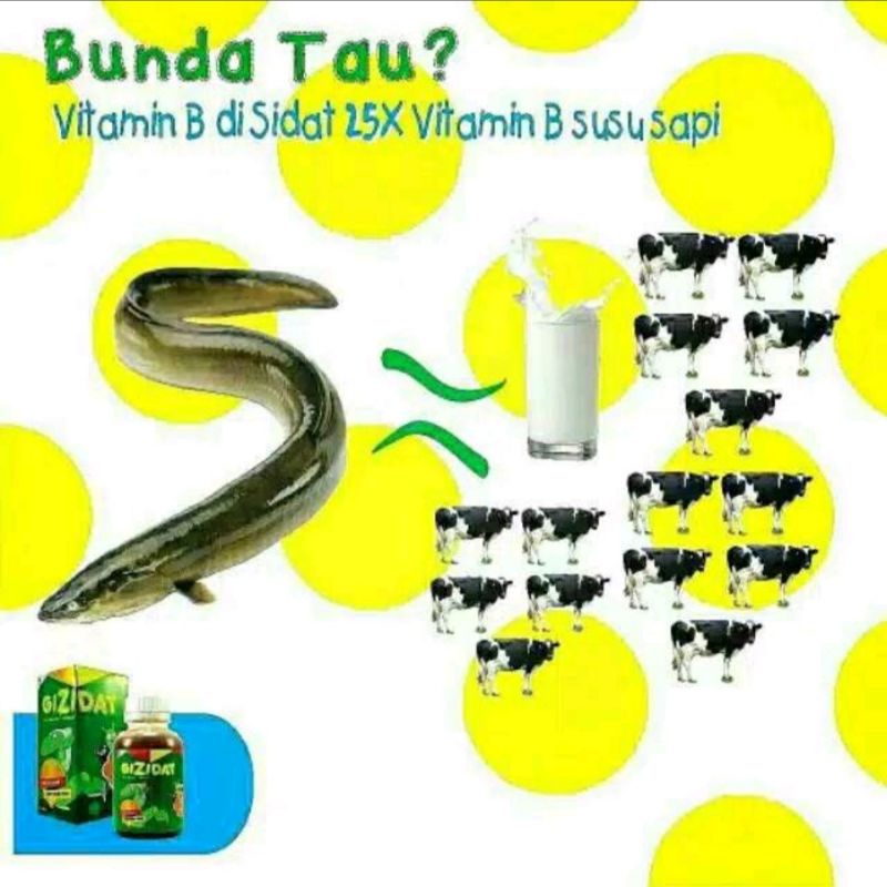 Gizidat Asli Original Madu Anak Ekstrak Ikan Sidat Plus Probiotik Penambah Nafsu Makan &amp; Imunitas