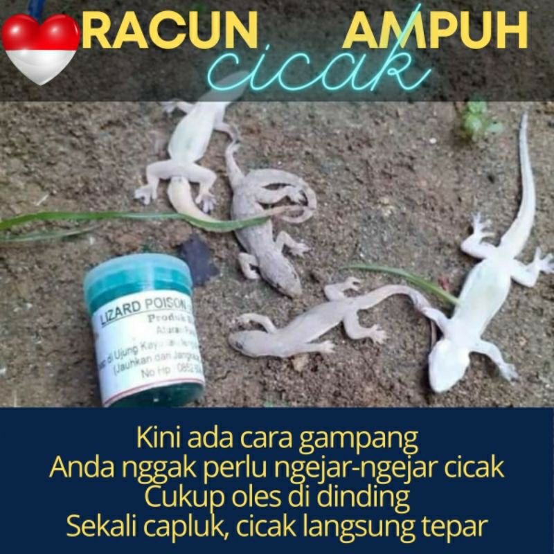 LIZARD POISON RACAK RACUN CICAK HERBAL PEMBASMI CICAK SANGAT AMPUH