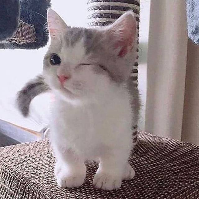 k*****1
