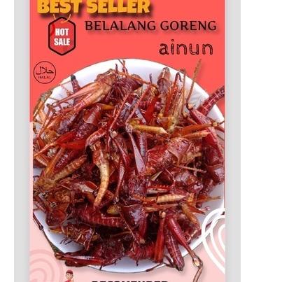

[KODE ZKIM9] [BISA COD] WALANG/BELALANG GORENG BESAR