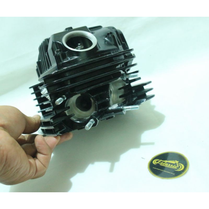 Cylinder Head Twin Port Tiger Megapro