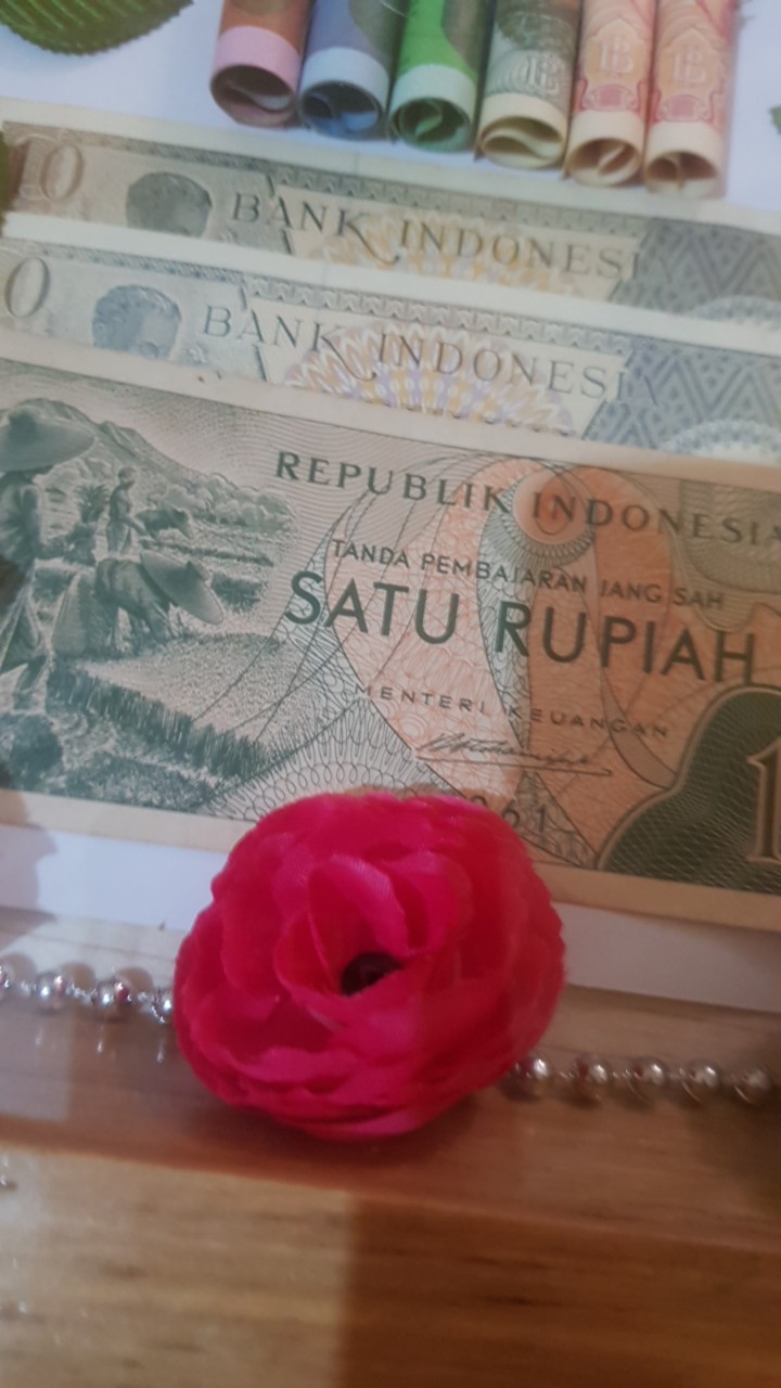 Bunga Peony Mangkok Sedang