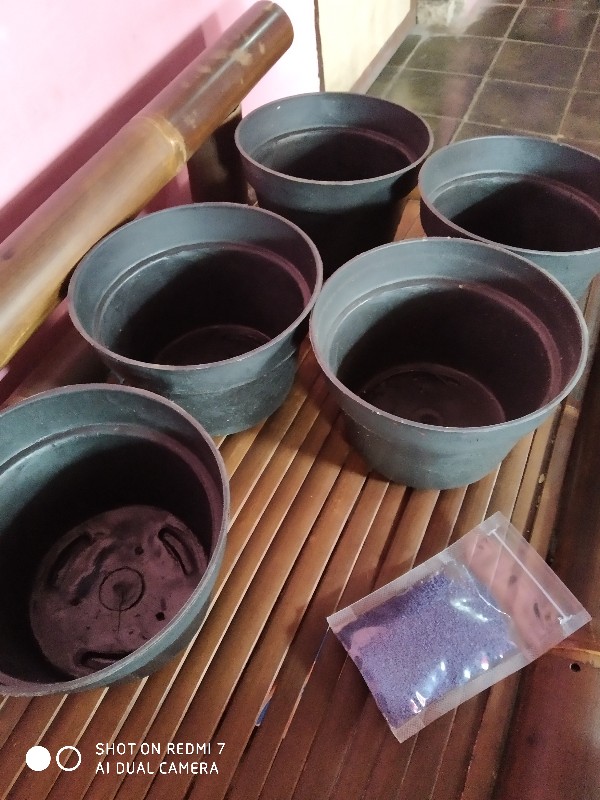 100gr Furadan Insektisida Dan Nematisida Kemasan Repack