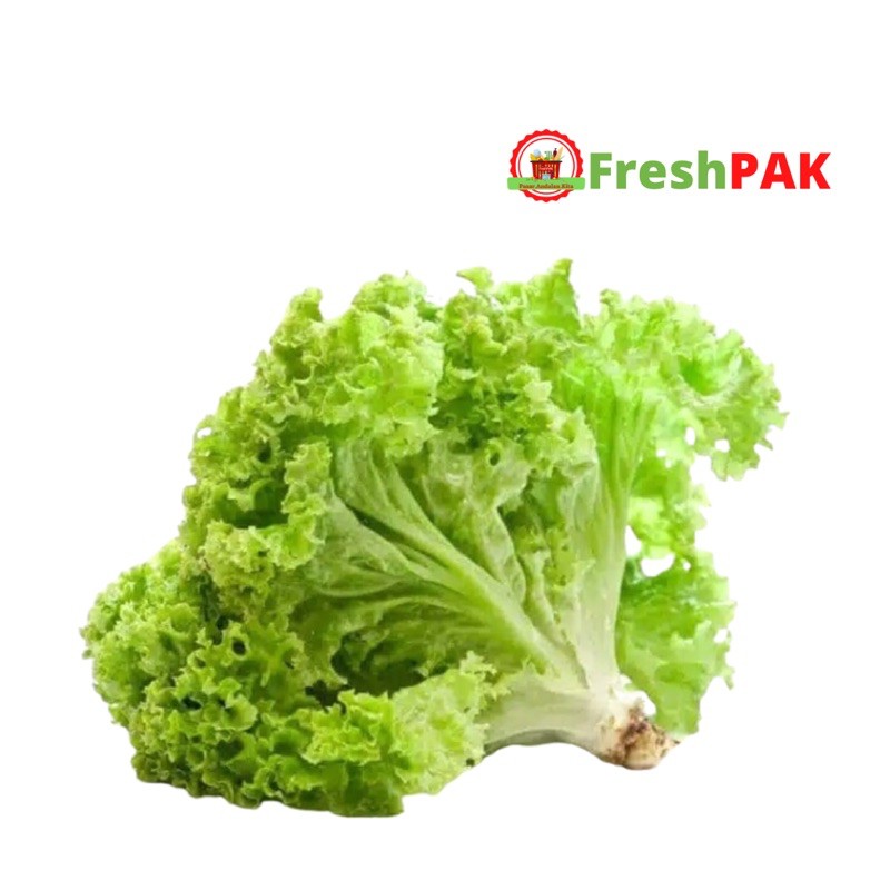 

FreshPAK - Selada Keriting 250gr / Sayur Segar / Sayuran Segar / Sayur Murah