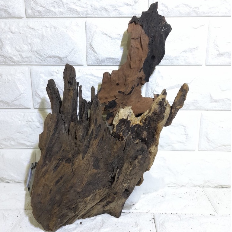 KAYU RENTEK AQUASCAPE SIZE S KAYU DEKORASI AQUASCAPE