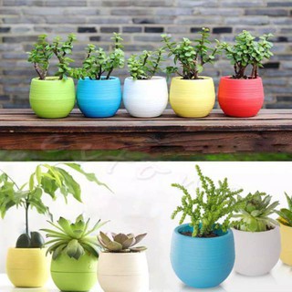 Pot vas Bunga Mini untuk tanaman hias kaktus succulent 