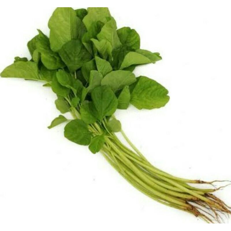 

Byam Lokal Fresh/ikat