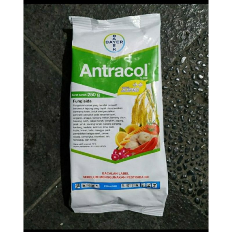 Fungisida Antracol untuk Obat Jamur Tanaman