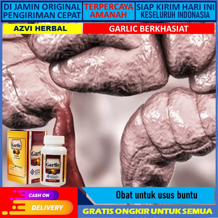 obat usus buntu obat herbal usus buntu OBAT USUS BUNTU Obat Radang Usus Buntu, Usus Bocor Bengkak, I