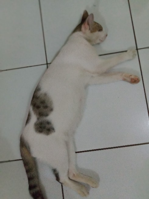 Batik Couple Keluarga Sania Ruffle Ori Ndoro Jowi Dnt Mataram