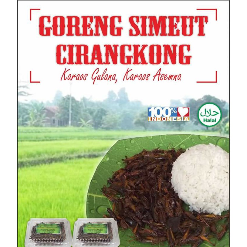 

Belalang Goreng Cirangkong 50 Gram Walang Goreng Goreng Simeut