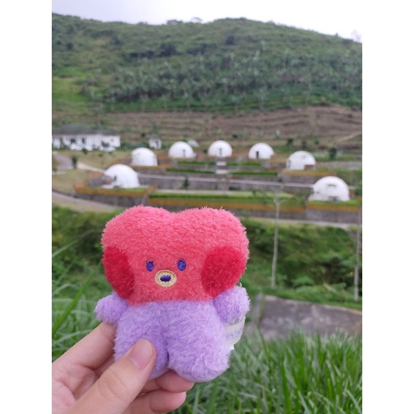 boneka bt21 tata