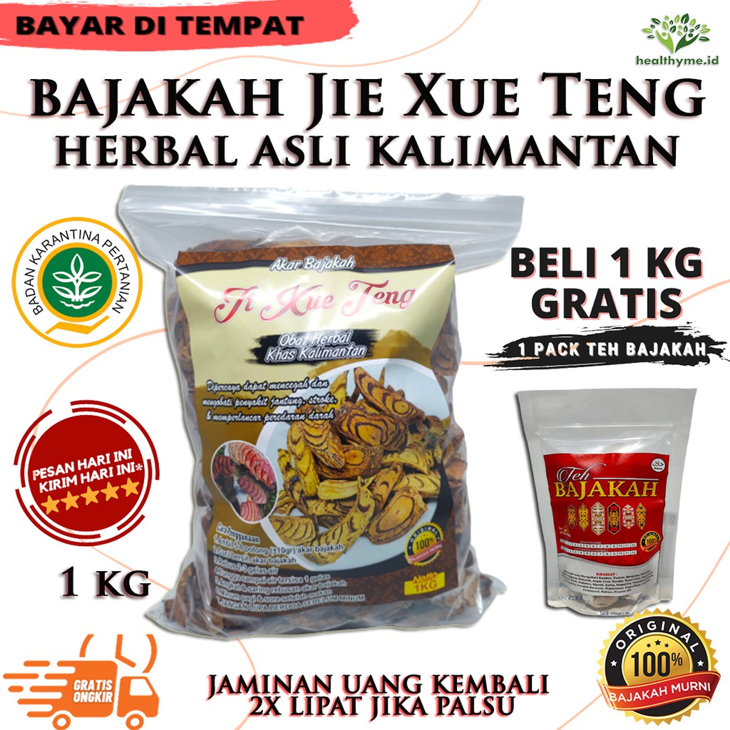 

Akar Kayu Bajakah Ji Xue Teng Herbal Asli Kalimantan - 1 KG
