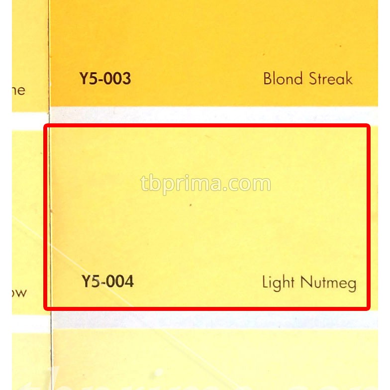 No Drop Tinting Y5-004 Light Nutmeg 1 kg