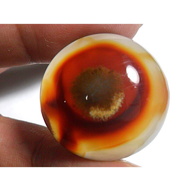 AG096 Round cabochon 46ct 26mm Natural Sagenitic Golden Needle Picture Agate Like Evil Eye