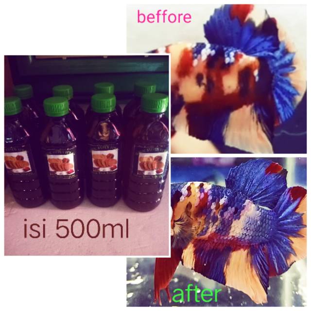 

Extrak daun ketapang isi 500ml(harga ekomomis)
