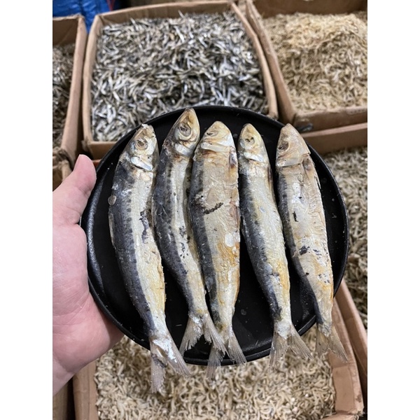 

Ikan Asin Lamuru Belitung /Lamuruk Belitung/ Japuh belitung / JP