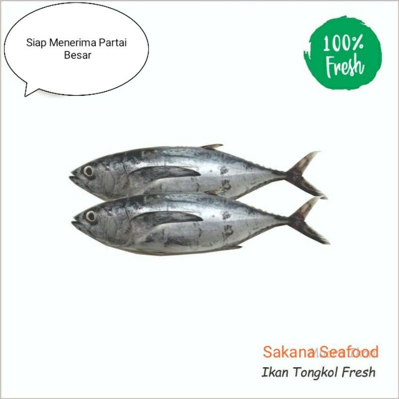 

Ikan Tongkol Abu abu Fresh 1kg