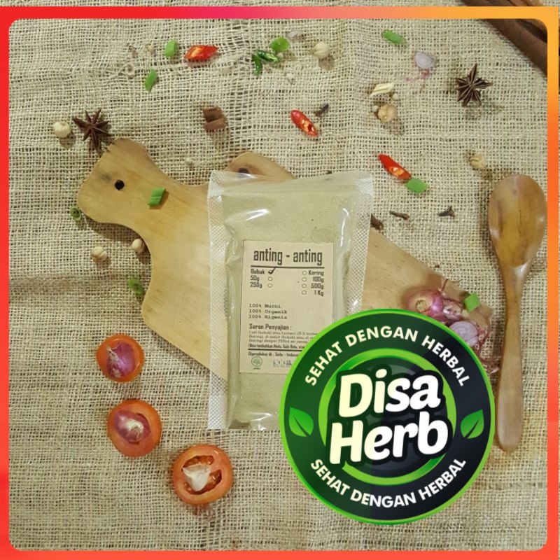 

TANAMAN ANTING ANTING BUBUK 1kg - Acalypha Australis Linn - MURNI - JSR - REMPAH