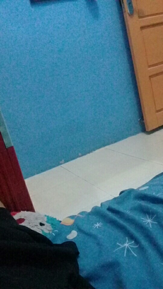 Tempat Bekal Anak /lunch Box Mario Lion Star