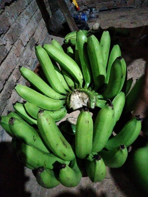 New Kemeja Batik Slimfit Exclusive Original Butik Atasan Batik Seragam M L Xl Xxl