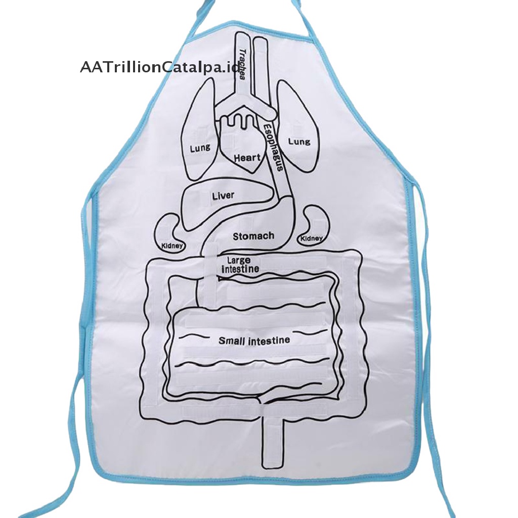 (AATrillionCatalpa) Apron / Celemek Motif Organ Tubuh Manusia Untuk Edukasi Anak