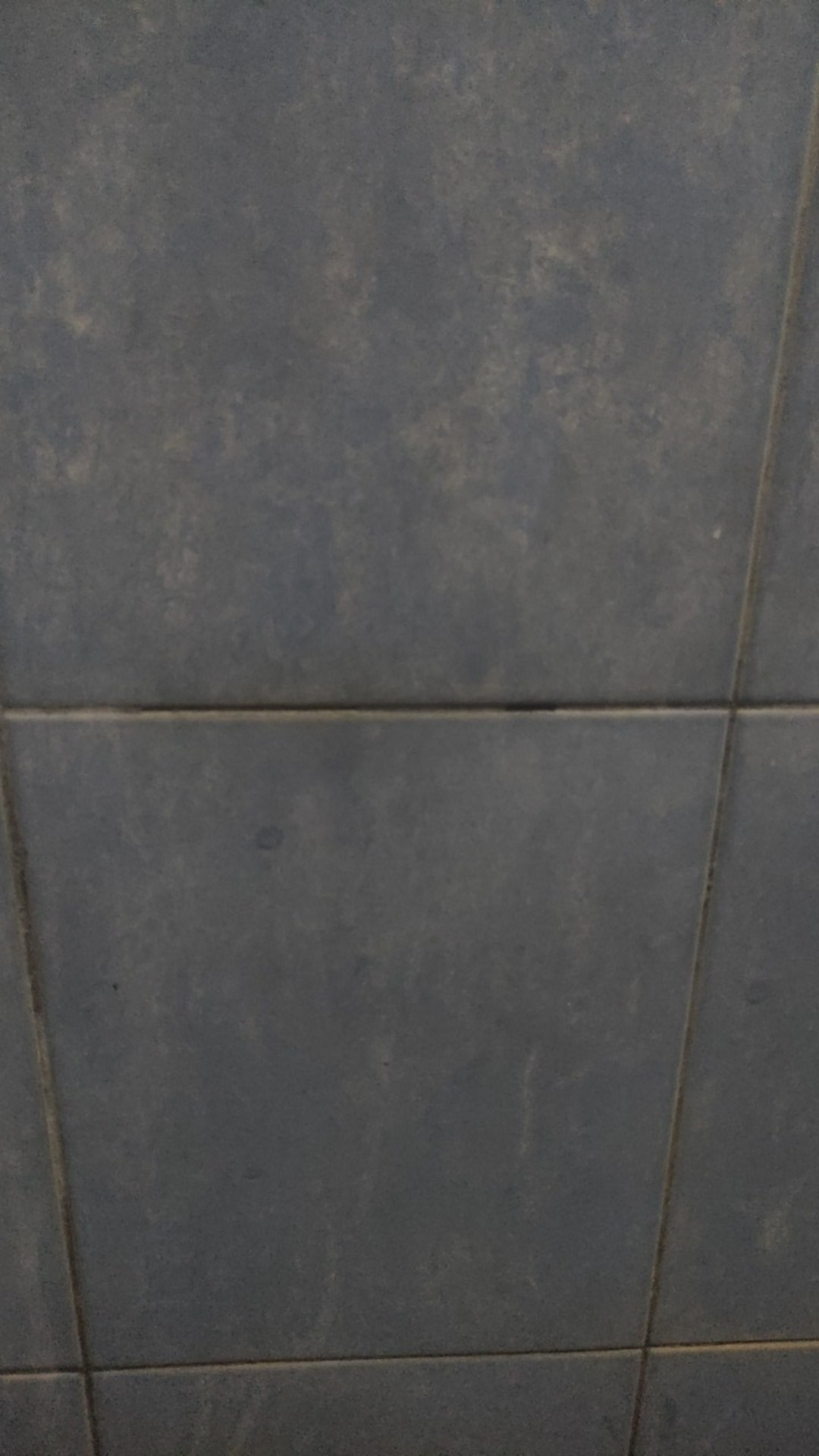 [159 Gram ] Alat Penghancur Bawang Stainless Steel Garlic Press