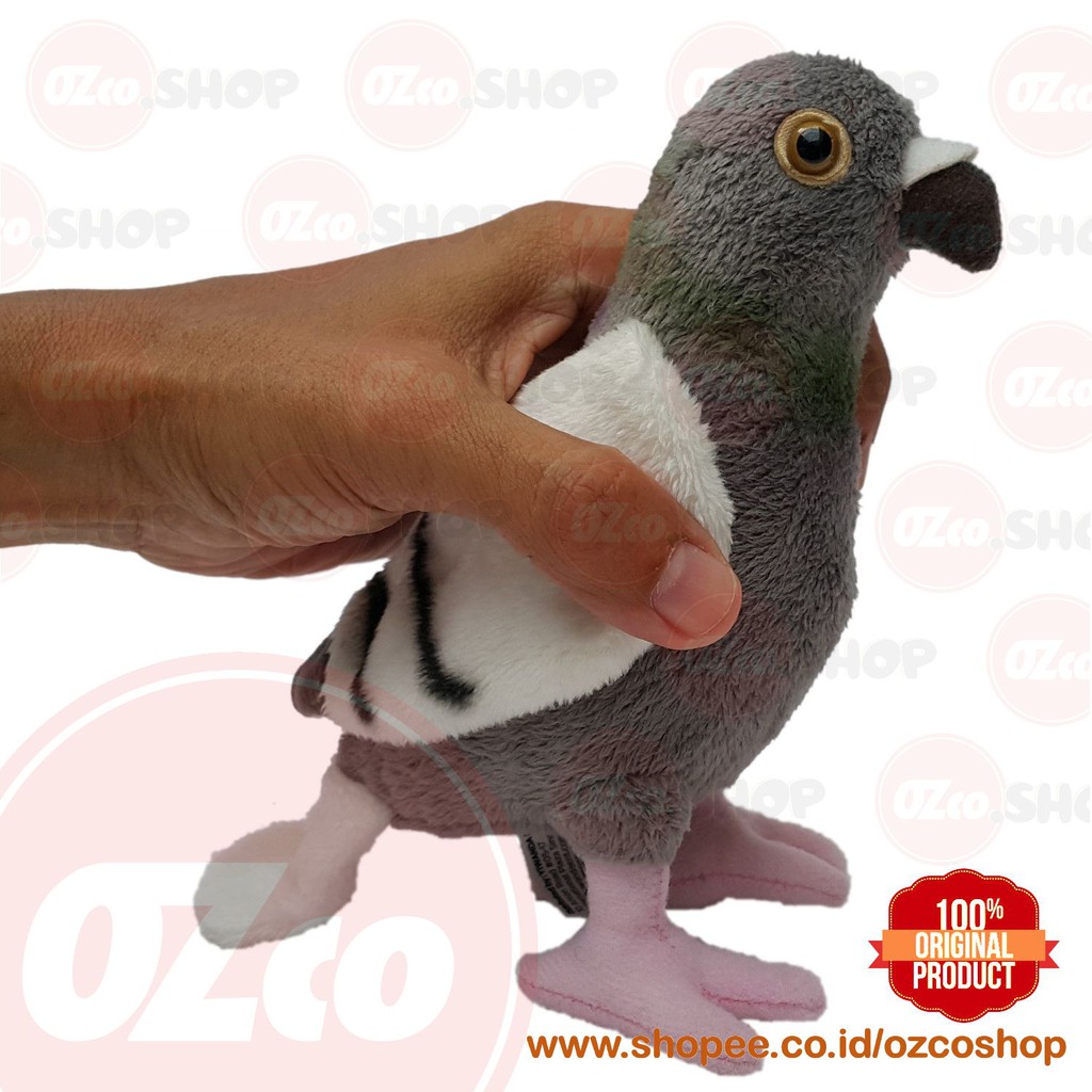 74+ Gambar Hewan Burung Dara Gratis