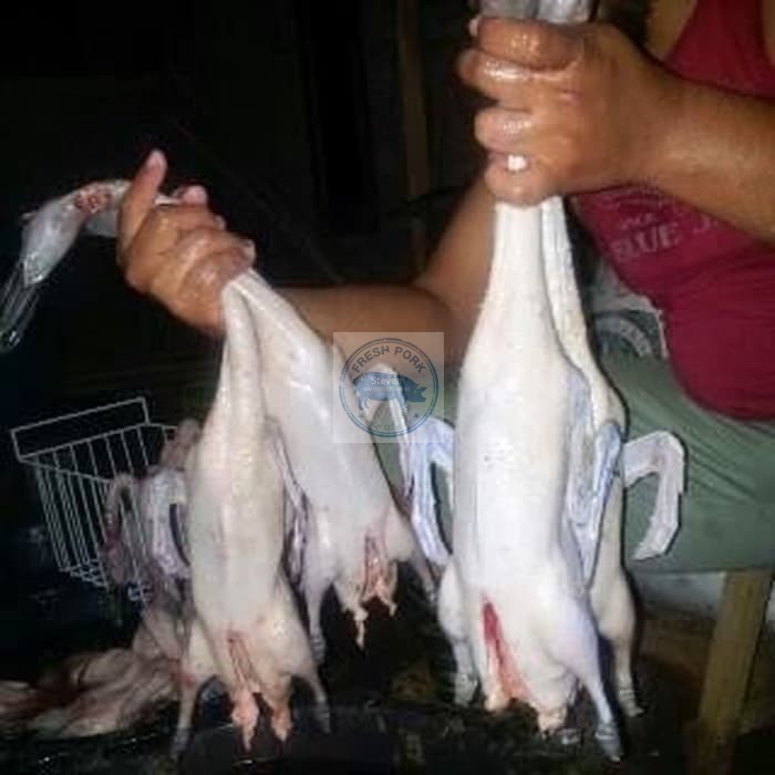 

Bebek LoKal Uk.1 Kg - Fresh Duck Meat 1 Kg