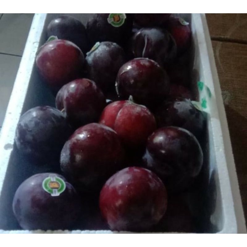 

Fresh Plum Fruit