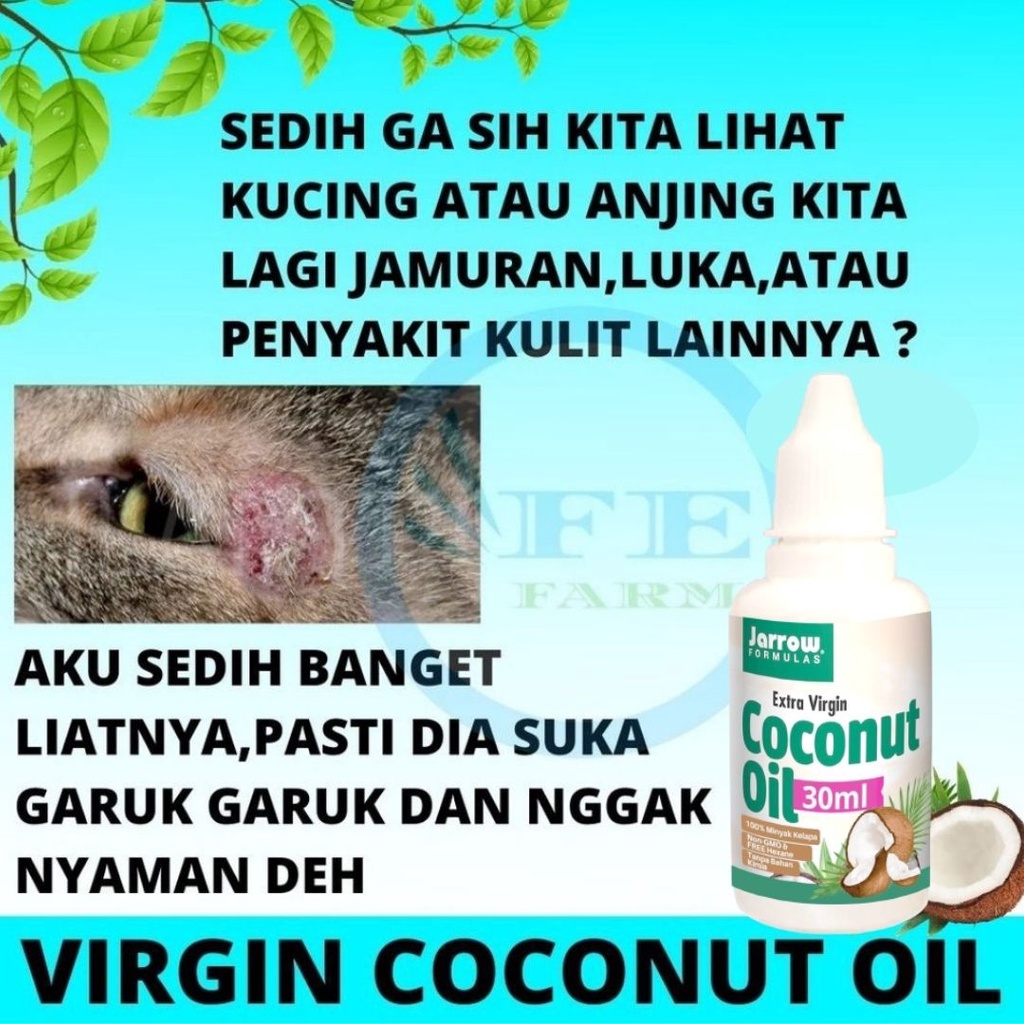 Virgin Coconut Oil 30ml Minyak VCO Kucing Anjing Hewan Peliharaan Cat Dog Ampuh Mengatasi Scabies dan Jamur pada Hewan FEFARM