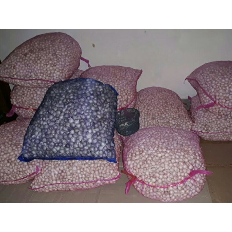 

Bawang tunggal putih 1kg (bisa pilih ukuran)