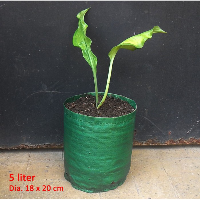 Planter bag 5 Liter easy grow planterbag 5liter easygrow no handle cocok u net pot / netpot hidroponik cabai / cabe / tomat planter bag