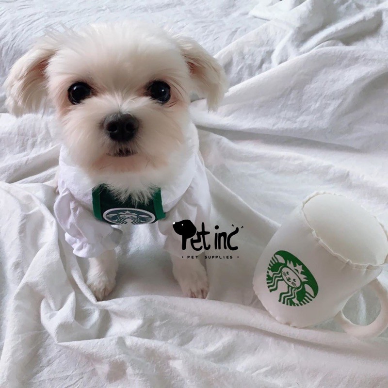 starbux apron