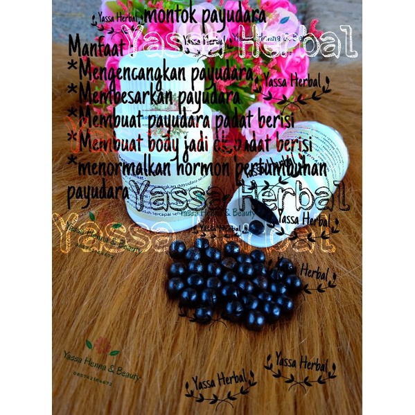 pil pembesar payudara (premium)