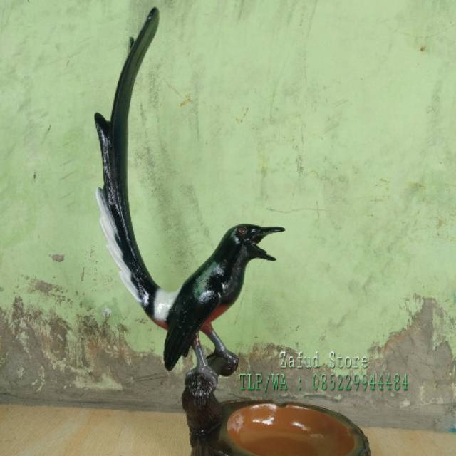 Asbak burung murai batu, kualitas terbaik