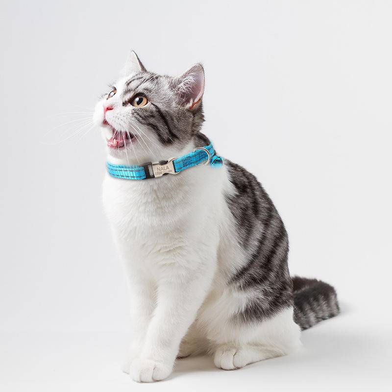 Kalung Anjing / Kucing Peliharaan Adjustable Anti Hilang