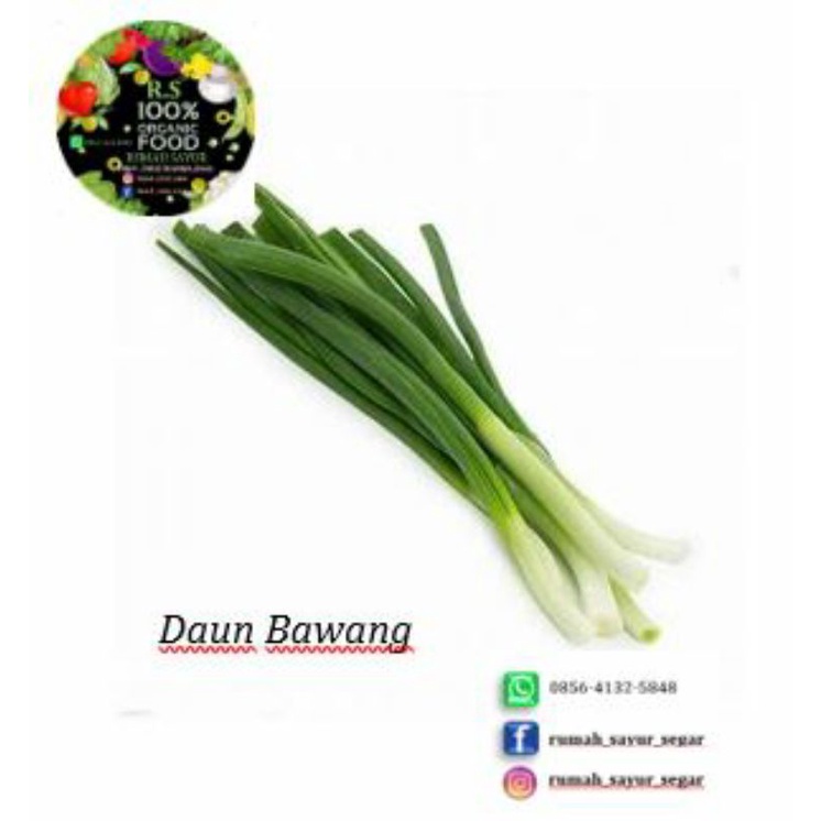 

Daun Bawang 100g