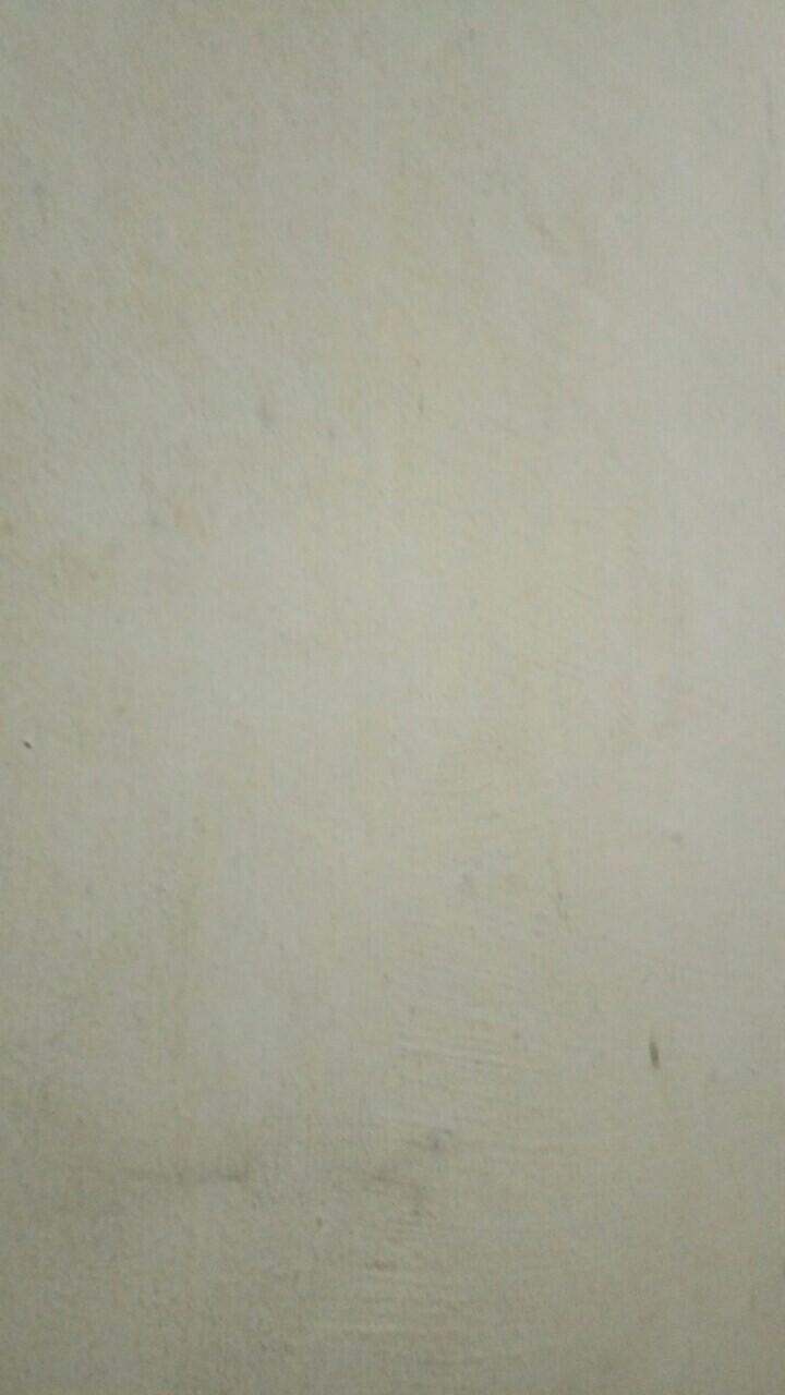 Bolu Malang Singosari (bms) Cokelat